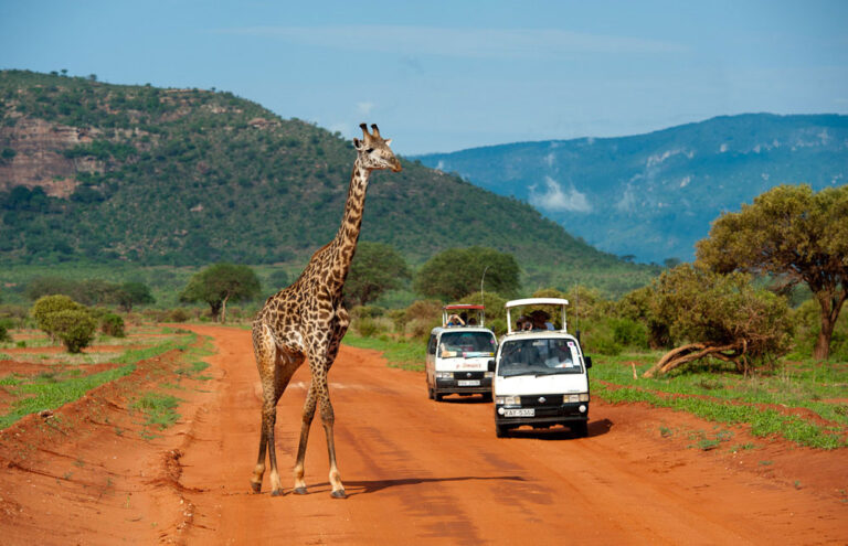 🌋 Tsavo National Park: Kenya’s Most Underrated Luxury Safari Destination