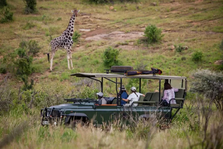 🏞️ Laikipia: Private Conservancies and the Future of Luxury Safaris in Kenya