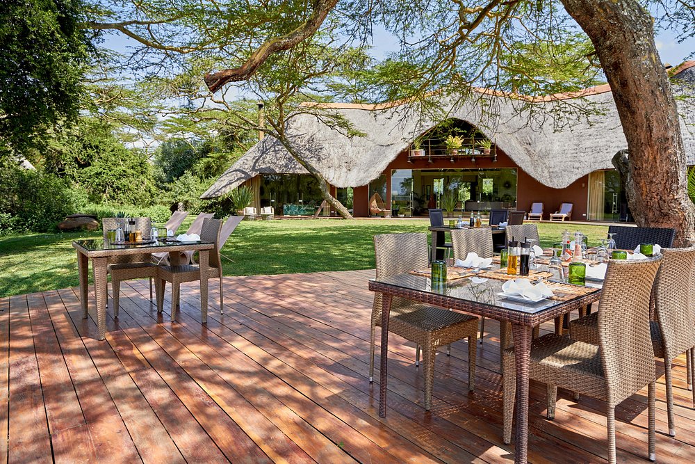 dining-in-open-spaces