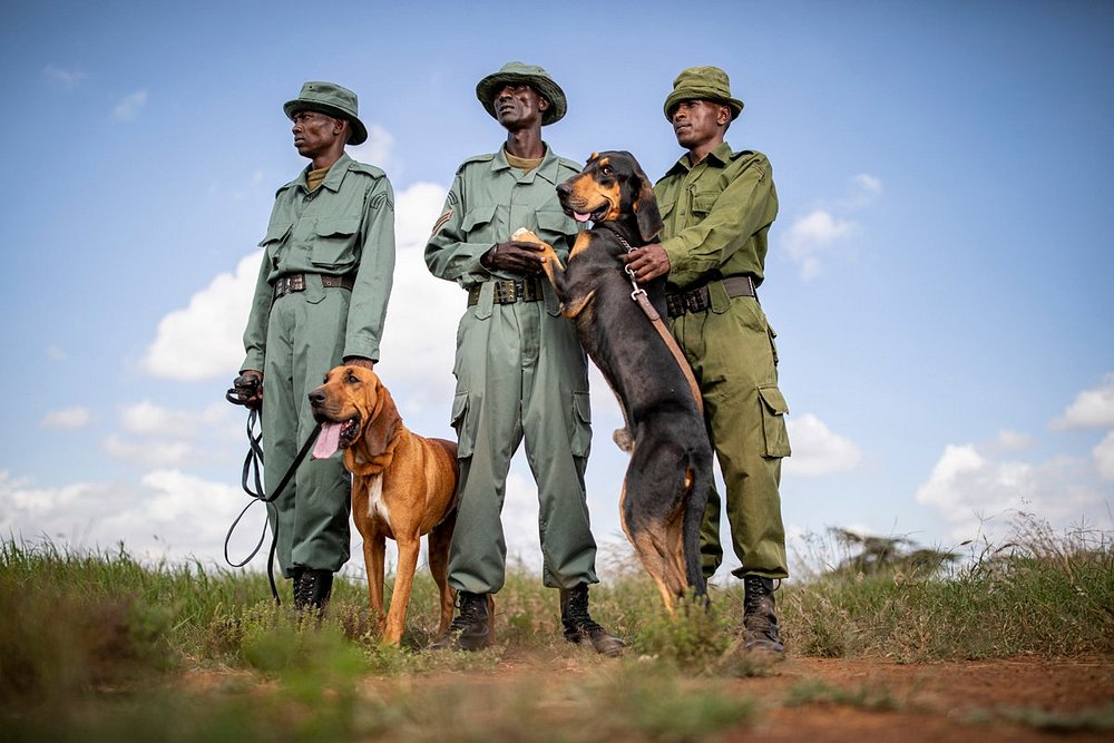 Amboseli National Park: Luxury Safaris with Iconic Mount Kilimanjaro Views
