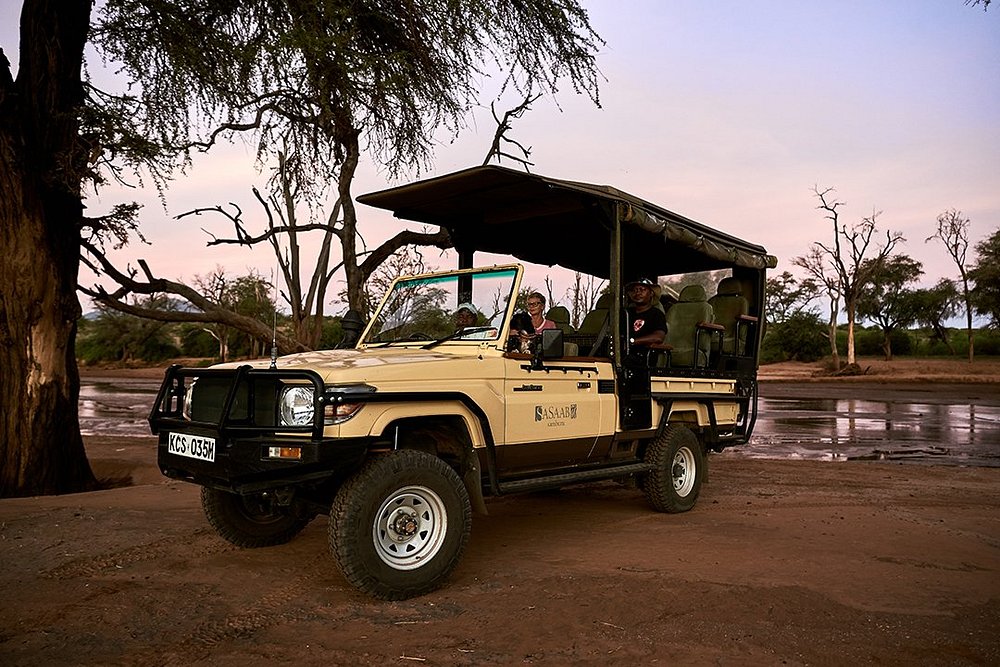 game-drive-vehicle-at