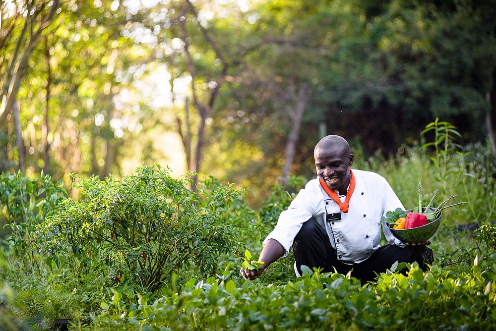 sanctuary-olonana (5)