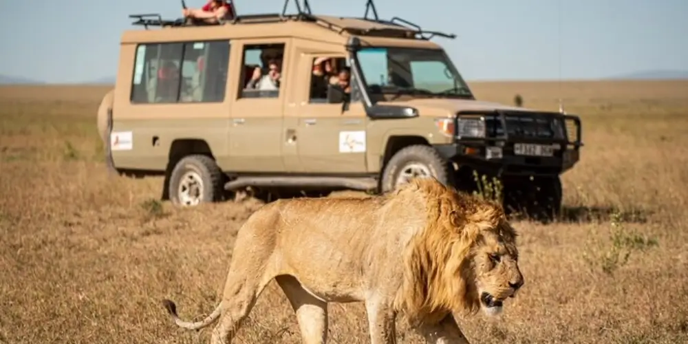 Best Luxury Safari Lodges in Maasai Mara: A 2026 Guide